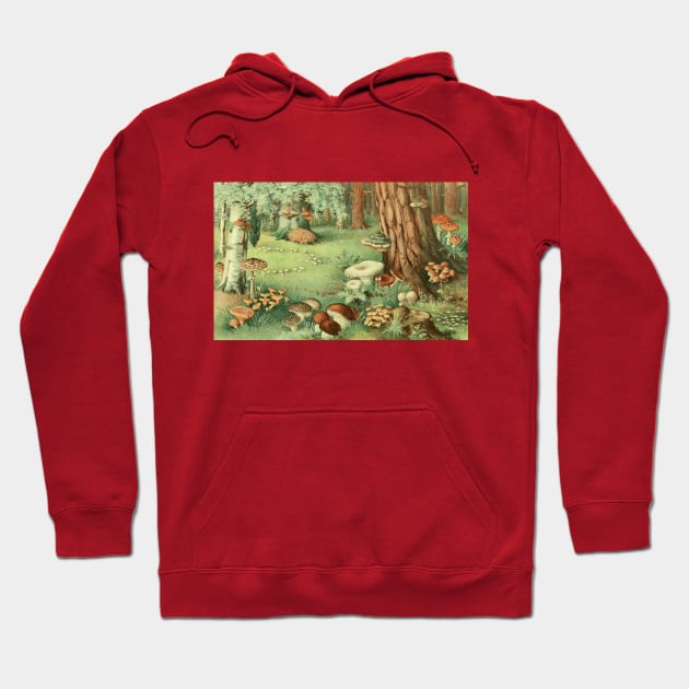 Enchanted Forest Faerie Ring Hoodie by The Curious Cabinet